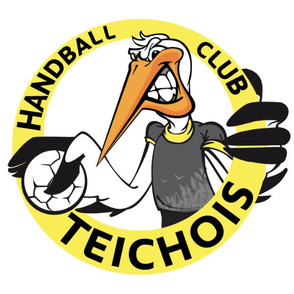 logo Handball Club Teichois (33)